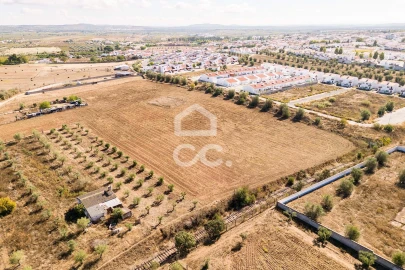 Terreno para Venda em Reguengos de Monsaraz