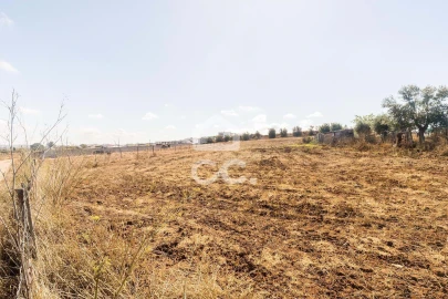 Terreno para Venda em Reguengos de Monsaraz