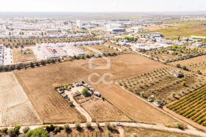 Terreno para Venda em Reguengos de Monsaraz