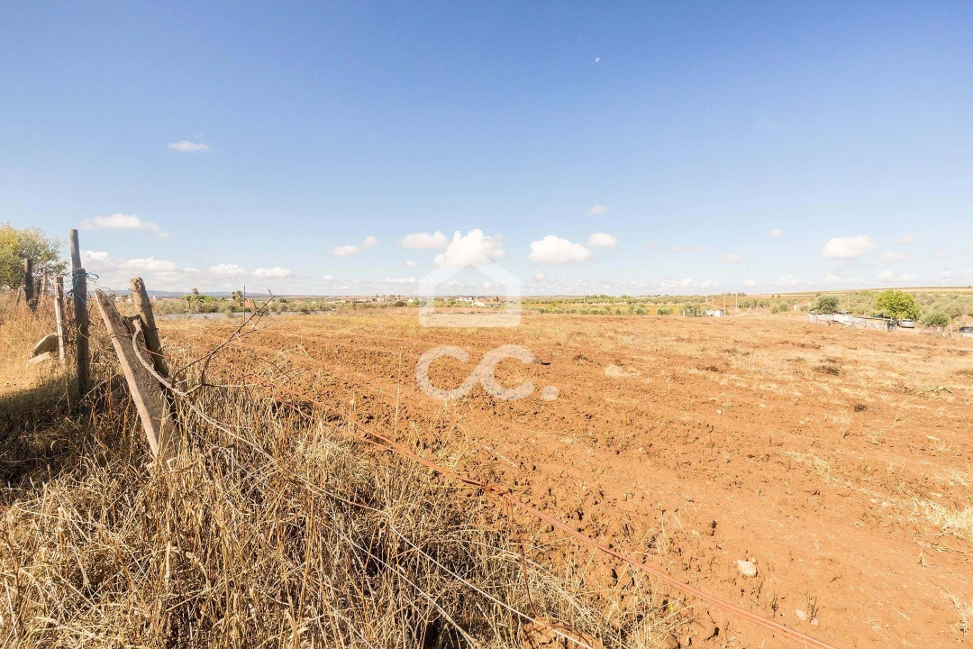 Terreno para Venda em Reguengos de Monsaraz Foto 12