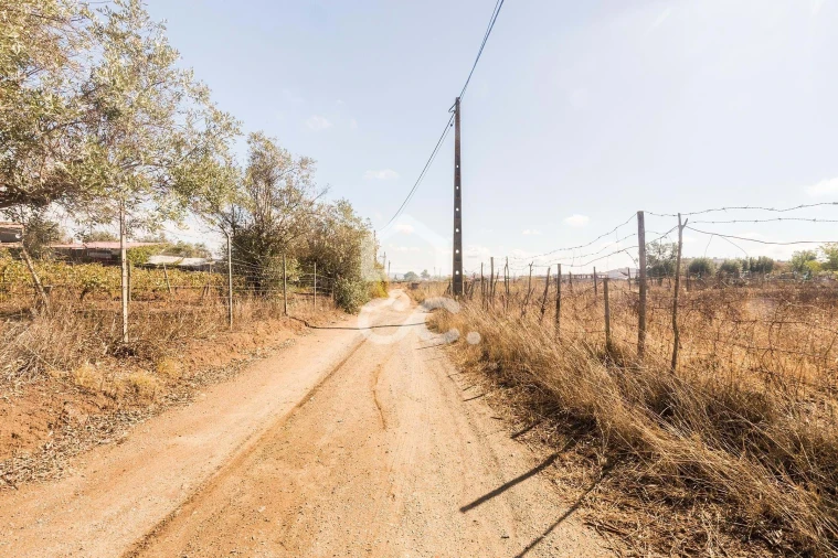 Terreno para Venda em Reguengos de Monsaraz Foto 14