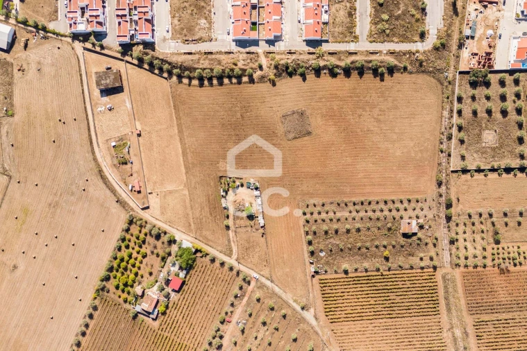 Terreno para Venda em Reguengos de Monsaraz Foto 6