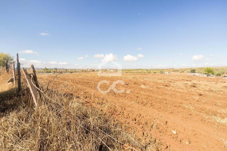 Terreno para Venda em Reguengos de Monsaraz Foto 12
