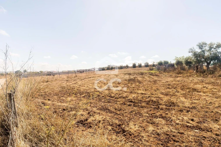 Terreno para Venda em Reguengos de Monsaraz Foto 8