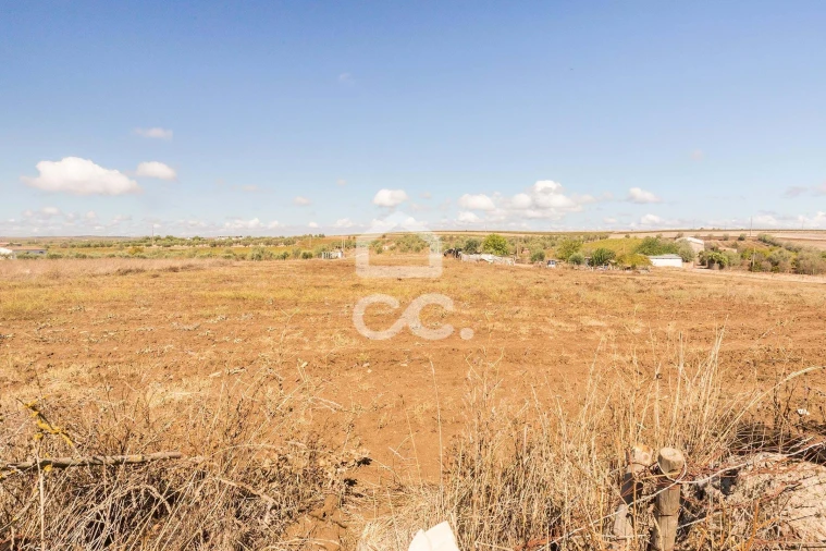 Terreno para Venda em Reguengos de Monsaraz Foto 11