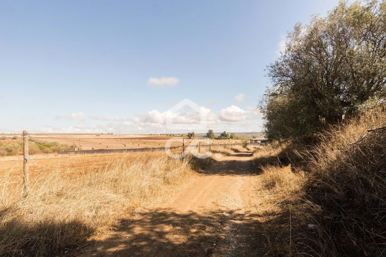 Terreno para Venda em Reguengos de Monsaraz Foto 13