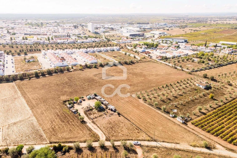 Terreno para Venda em Reguengos de Monsaraz Foto 5