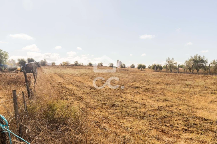 Terreno para Venda em Reguengos de Monsaraz Foto 9