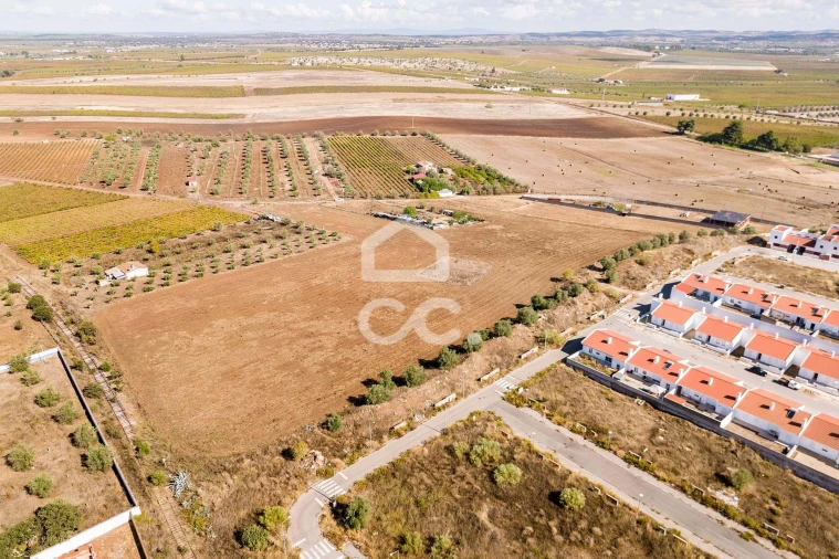 Terreno para Venda em Reguengos de Monsaraz Foto 17