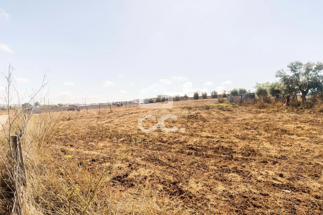 Terreno para Venda em Reguengos de Monsaraz Foto 8
