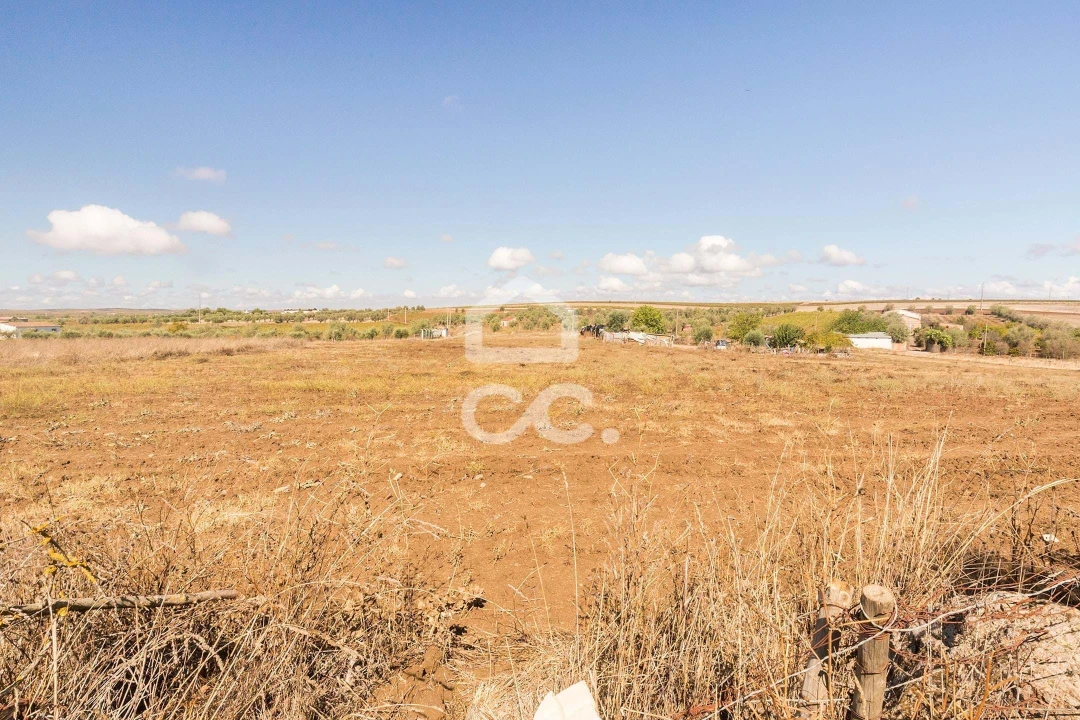 Terreno para Venda em Reguengos de Monsaraz Foto 11