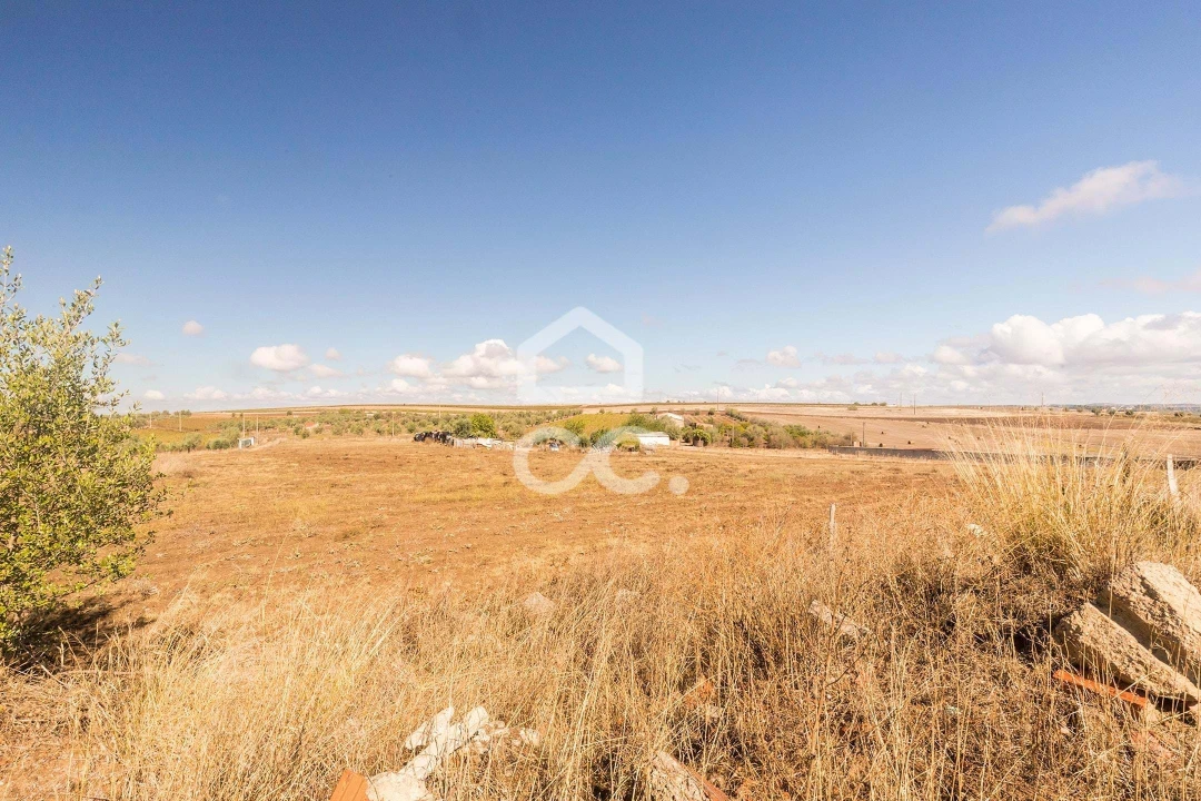 Terreno para Venda em Reguengos de Monsaraz Foto 10