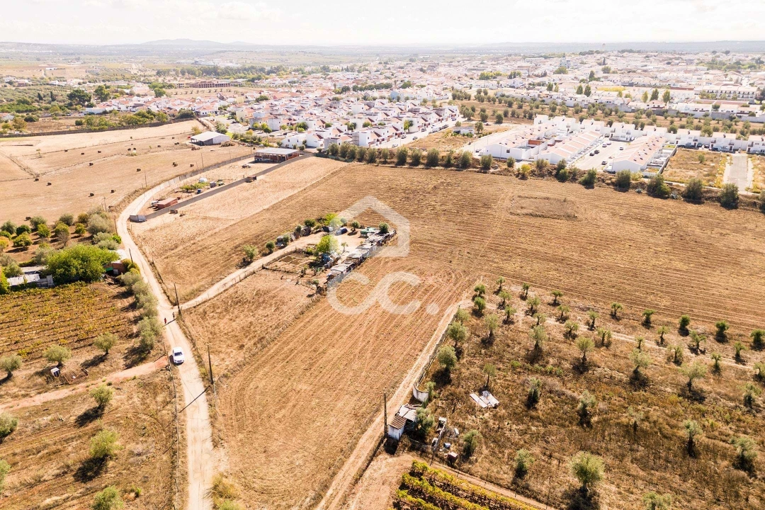 Terreno para Venda em Reguengos de Monsaraz Foto 4