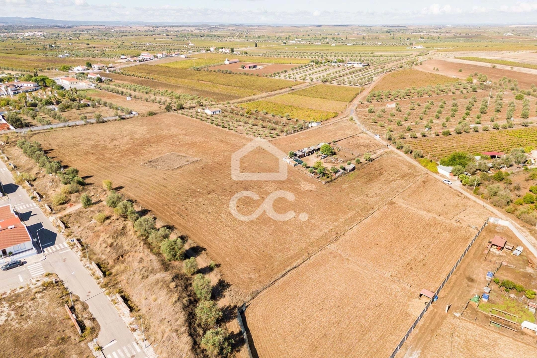 Terreno para Venda em Reguengos de Monsaraz Foto 21