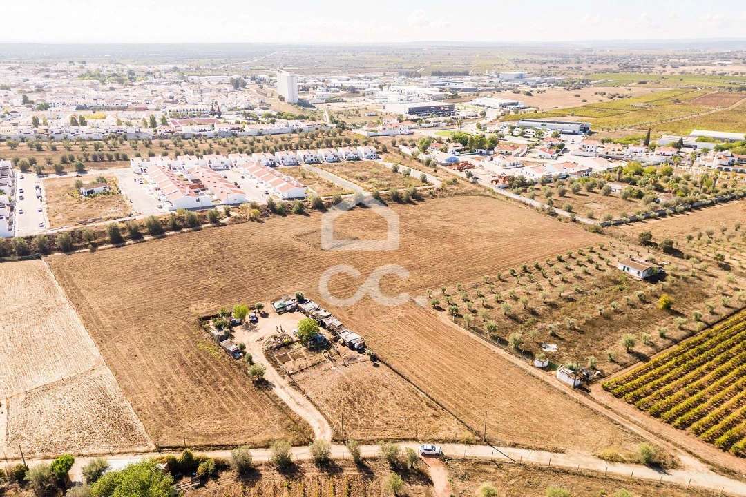 Terreno para Venda em Reguengos de Monsaraz Foto 5