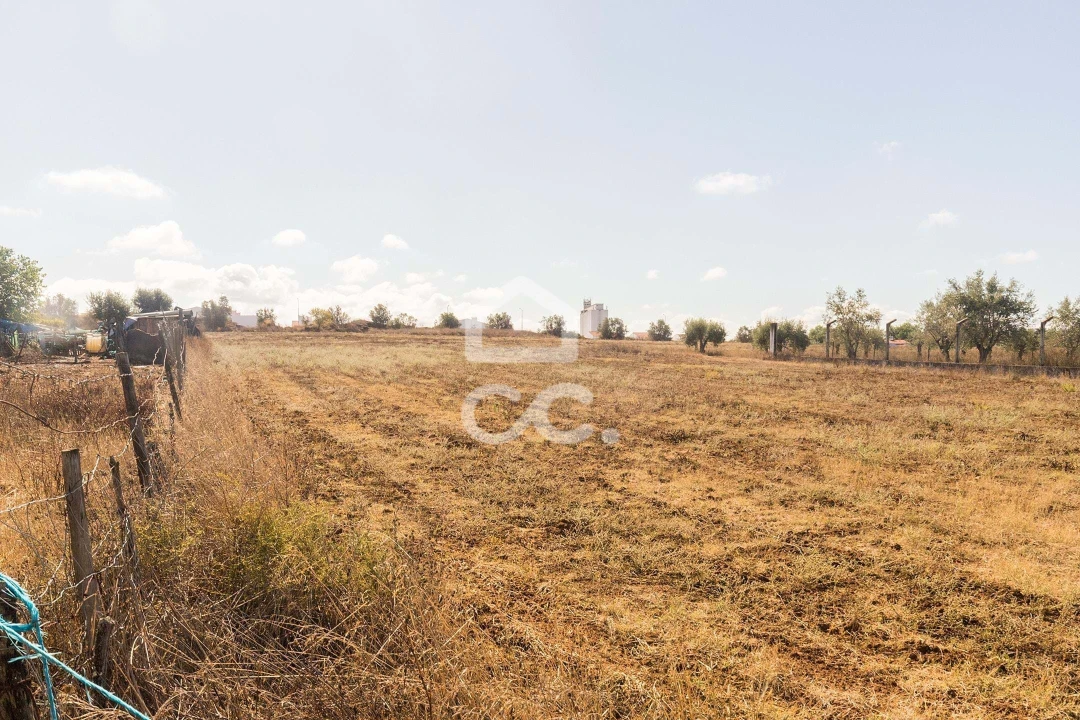 Terreno para Venda em Reguengos de Monsaraz Foto 9