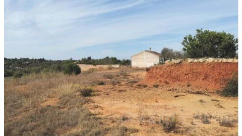 Terreno para Venda em Estômbar e Parchal