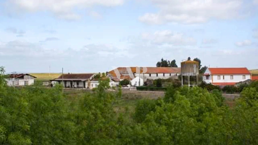 Terreno para Venda em Viana do Alentejo Foto 2