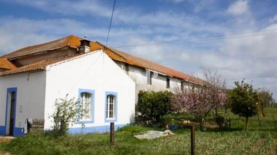 Terreno para Venda em Viana do Alentejo Foto 6