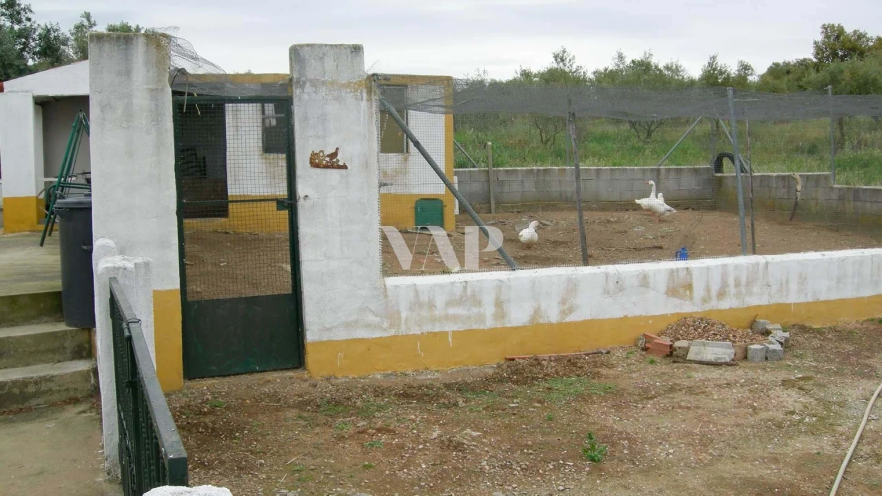 Quinta T7 para Venda em Nossa Senhora da Expectação Foto 28