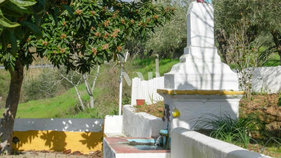 Quinta T7 para Venda em Nossa Senhora da Expectação Foto 29