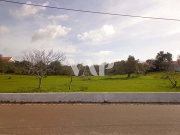Terreno para Venda em Almancil