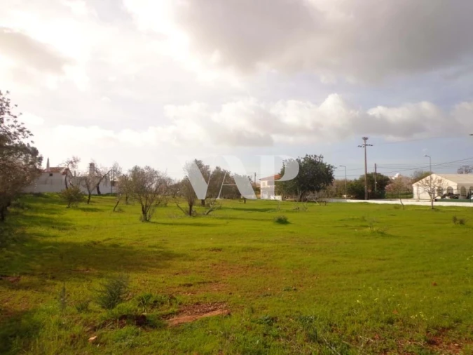Terreno para Venda em Almancil Foto 5