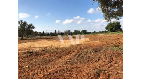 Terreno para Venda em Almancil