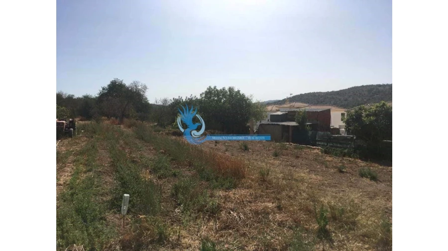 Terreno para Venda em Paderne Foto 3