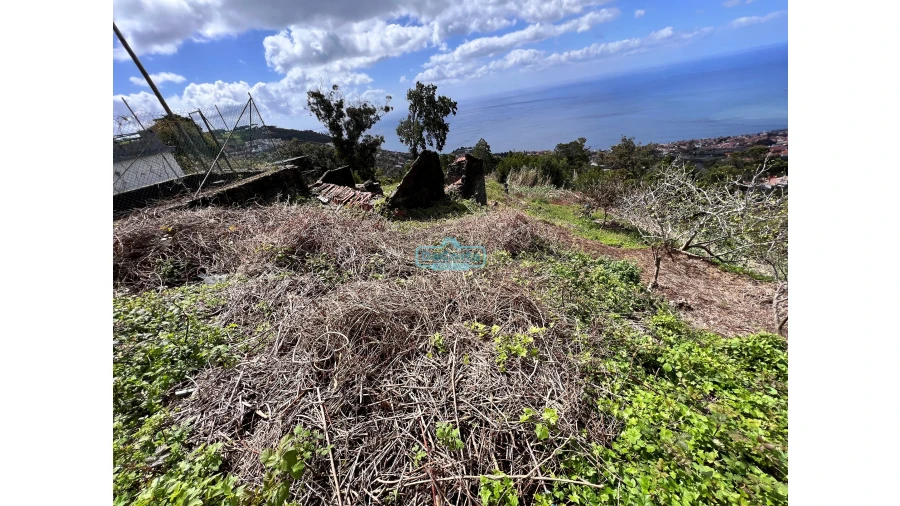Terreno para Venda em São Gonçalo Foto 3