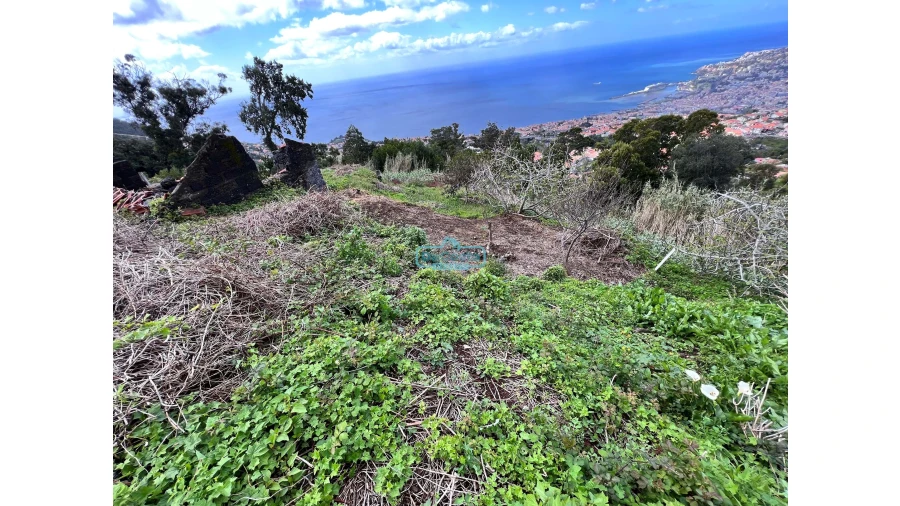 Terreno para Venda em São Gonçalo Foto 9