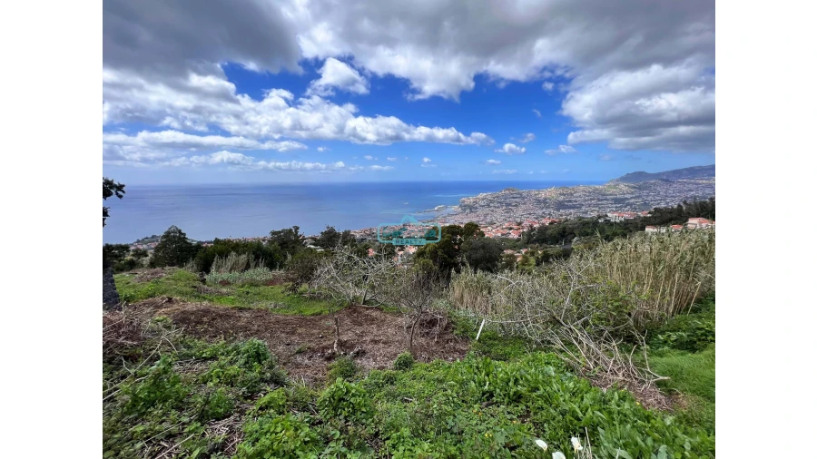Terreno para Venda em São Gonçalo Foto 1
