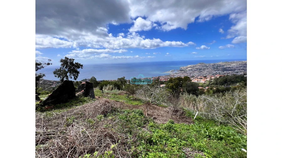 Terreno para Venda em São Gonçalo Foto 4