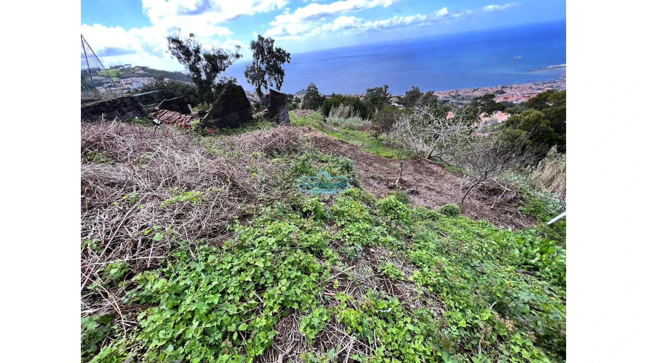 Terreno para Venda em São Gonçalo Foto 8