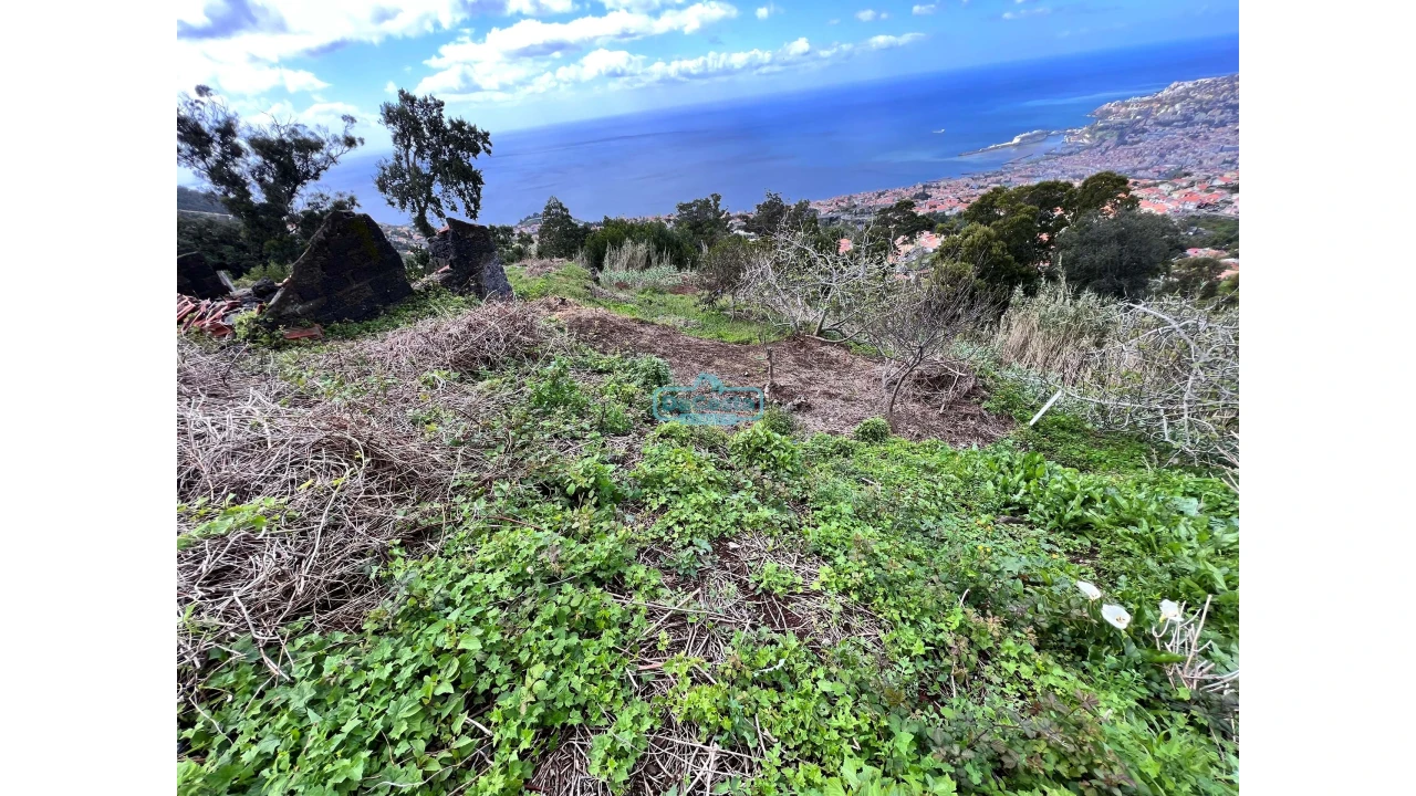 Terreno para Venda em São Gonçalo Foto 9