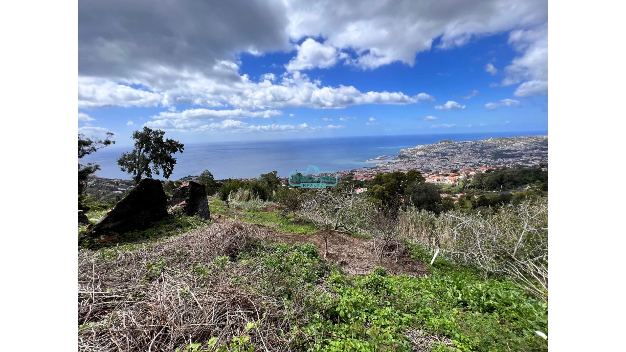 Terreno para Venda em São Gonçalo Foto 4