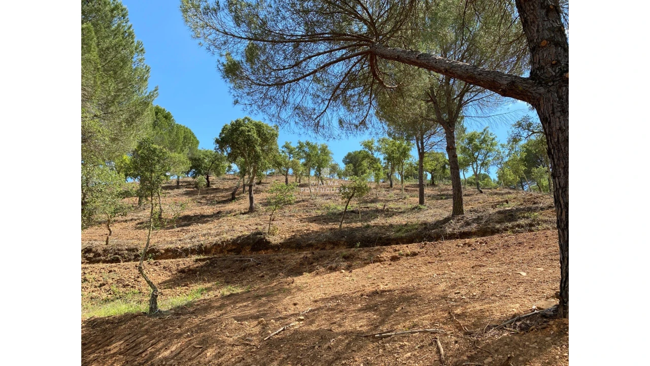 Quinta para Venda em São Bartolomeu de Messines Foto 2