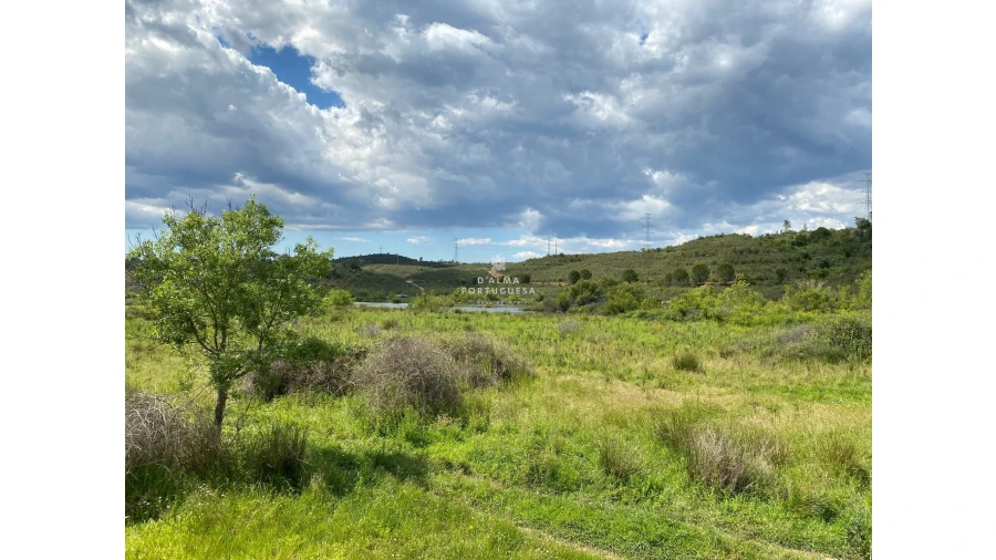Quinta para Venda em São Bartolomeu de Messines Foto 4