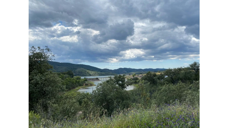 Quinta para Venda em São Bartolomeu de Messines Foto 3
