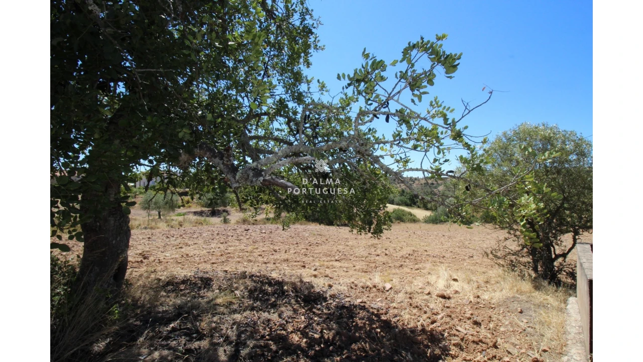 Terreno para Venda em Salir Foto 18