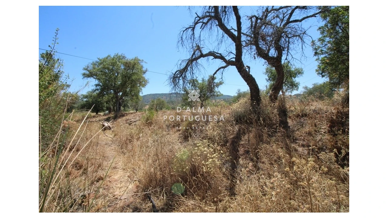 Terreno para Venda em Salir Foto 6