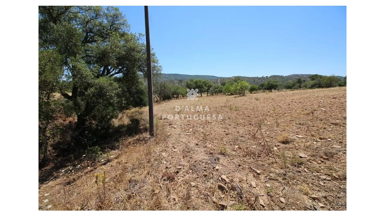 Terreno para Venda em Salir Foto 10