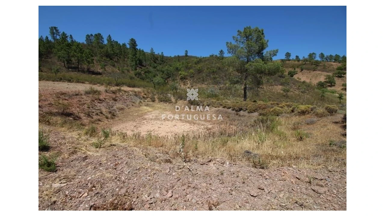 Terreno para Venda em Salir Foto 12