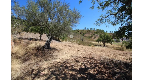 Terreno para Venda em Salir