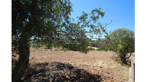 Terreno para Venda em Salir