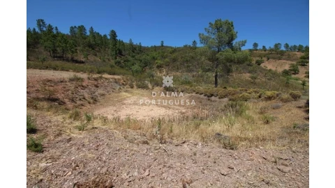 Terreno para Venda em Salir