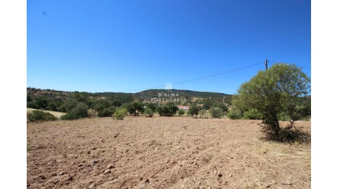 Terreno para Venda em Salir