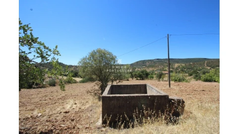 Terreno para Venda em Salir
