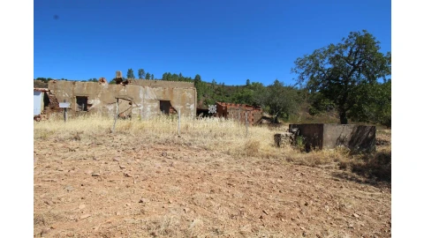 Terreno para Venda em Salir