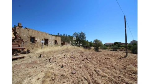 Terreno para Venda em Salir